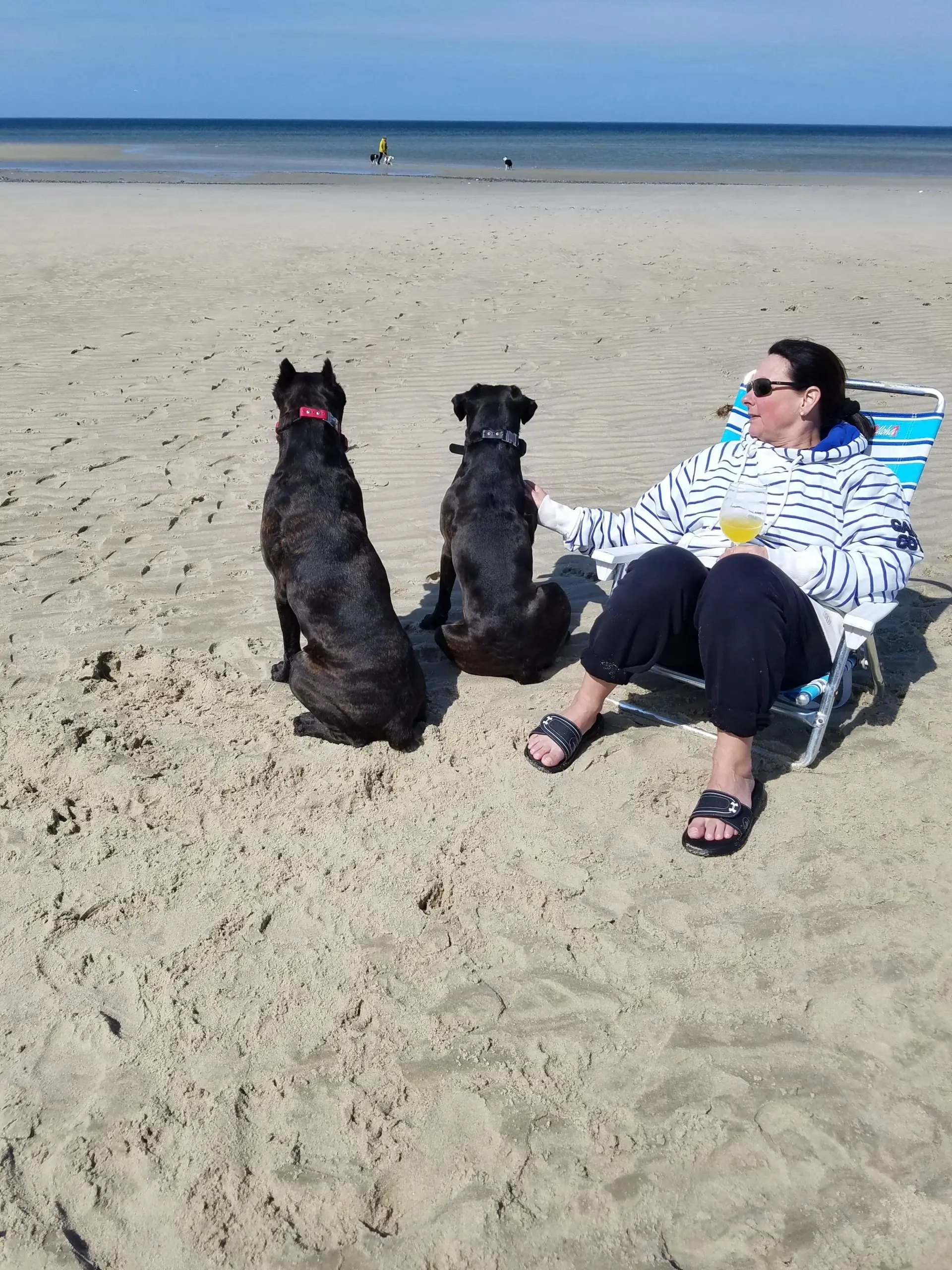 affordablerawdogfood